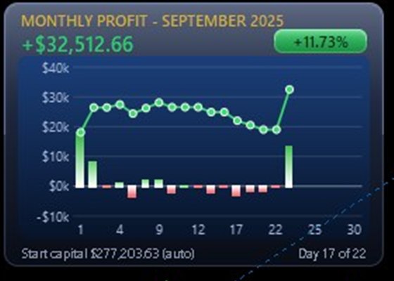 Monthly profit chart